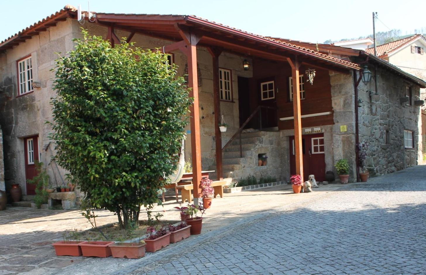 Quinta Da Mo Villa Terras de Bouro Eksteriør bilde